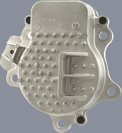 WPT-190 New OEM Water Pump Kit