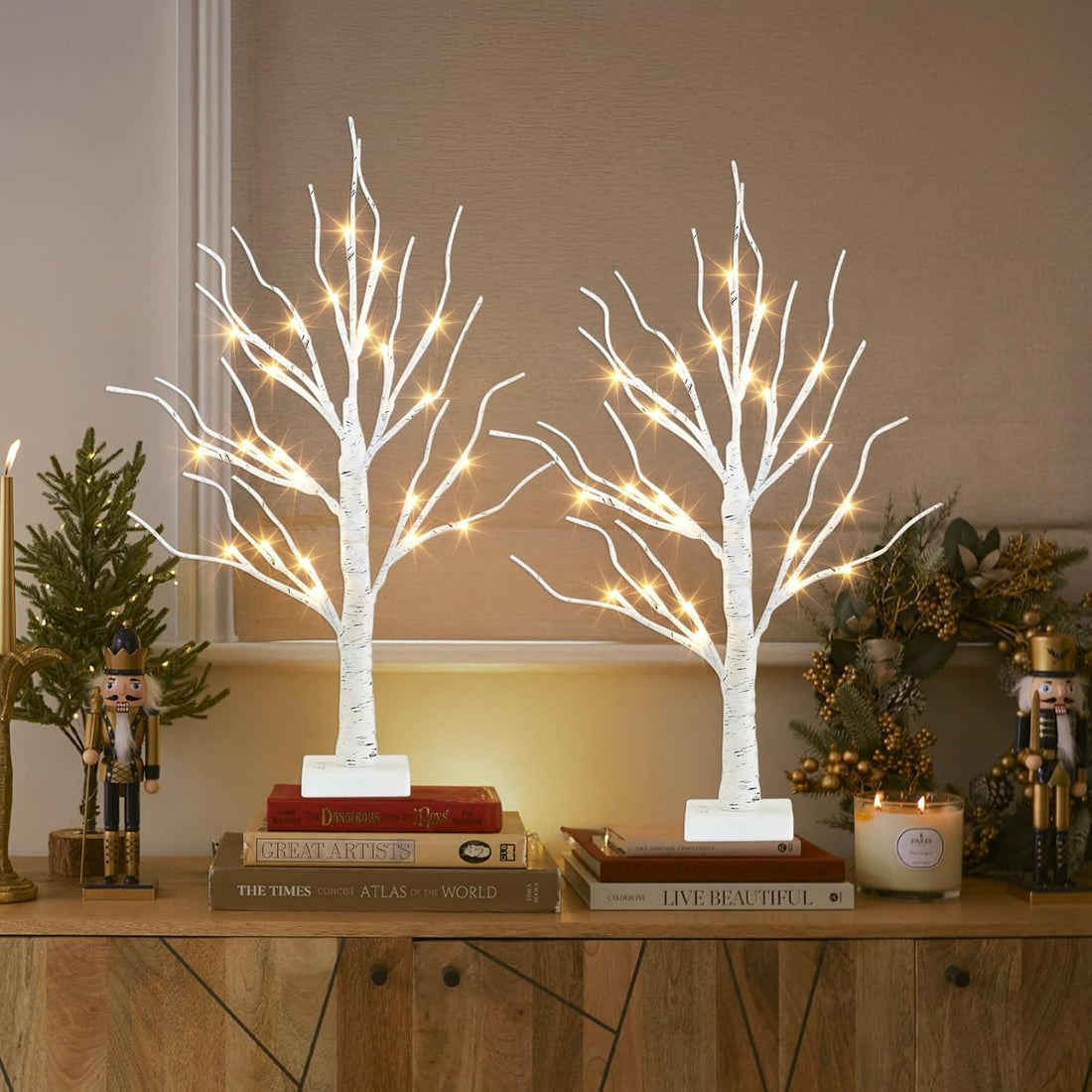 Christmas Decorations Indoor, 2 FT Birch Tree with LED Lights