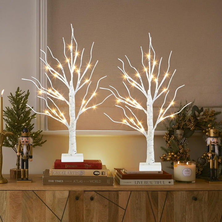 Christmas Decorations Indoor, 2 FT Birch Tree with LED Lights